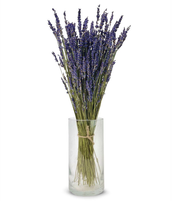 F-744_VCB.jpg Lavender Fields Bouquet