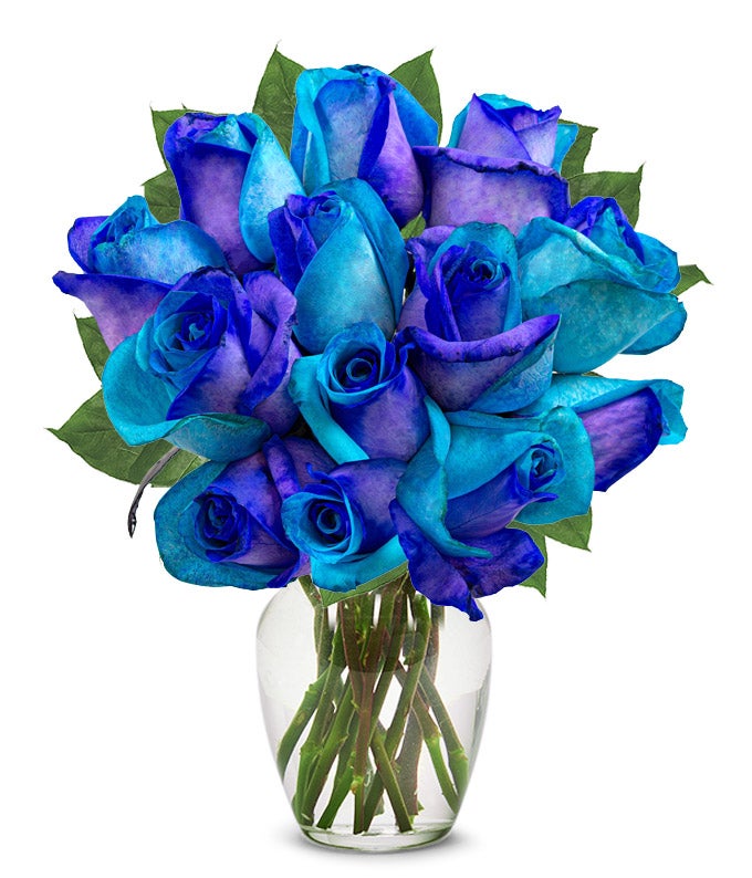 F-770.jpg One Dozen Ocean Blue Roses