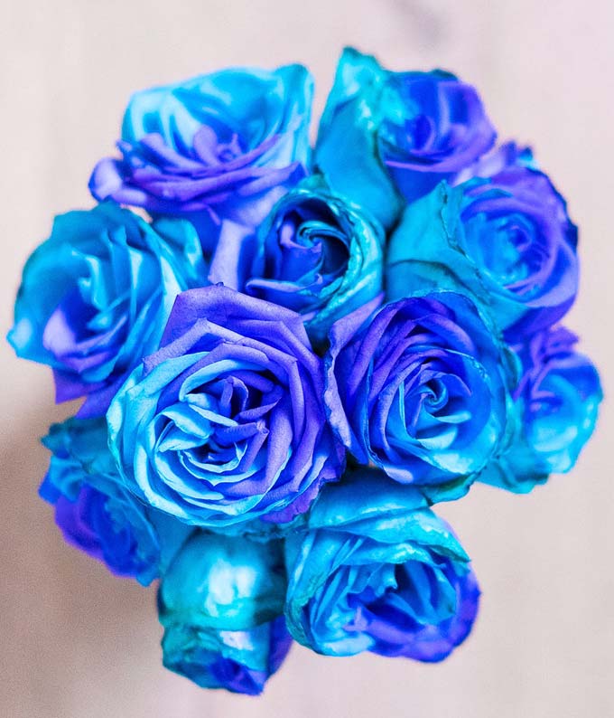 F-770_A1.jpg One Dozen Ocean Blue Roses - Image 2