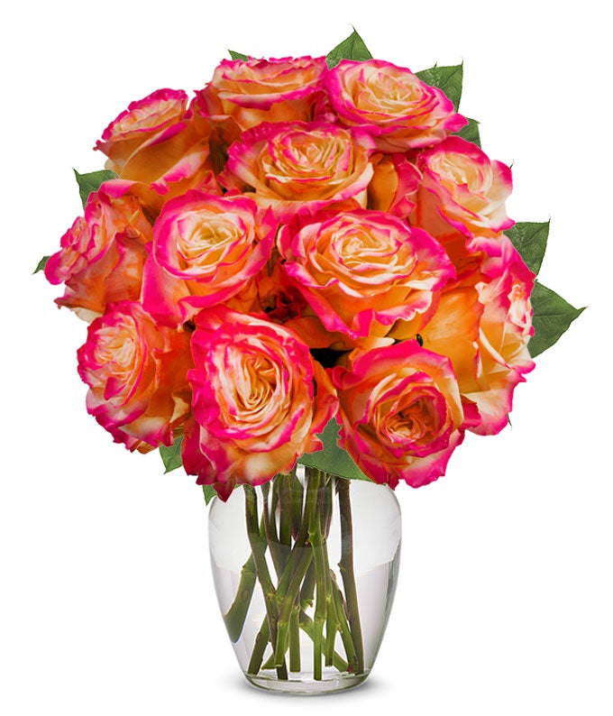 F-772.jpg One Dozen Pop of Pink Roses