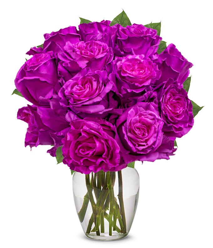 F-777.jpg One Dozen Magenta Roses