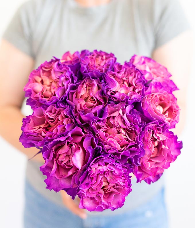F-777_A1.jpg One Dozen Magenta Roses - Image 2