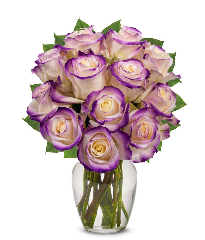 F-780.jpg One Dozen Royal Roses
