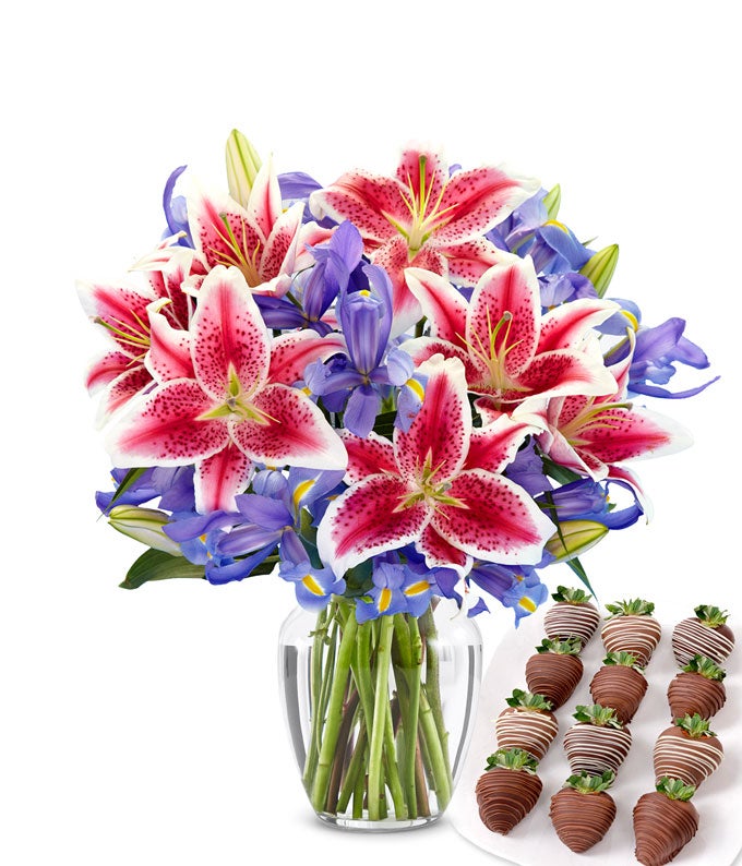 F-797.jpg Starlit Iris & Swizzle Berry Bundle