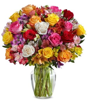 Premium Bright & Sunny Roses