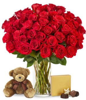 50 Red Roses Bundle with Chocolates & Bear