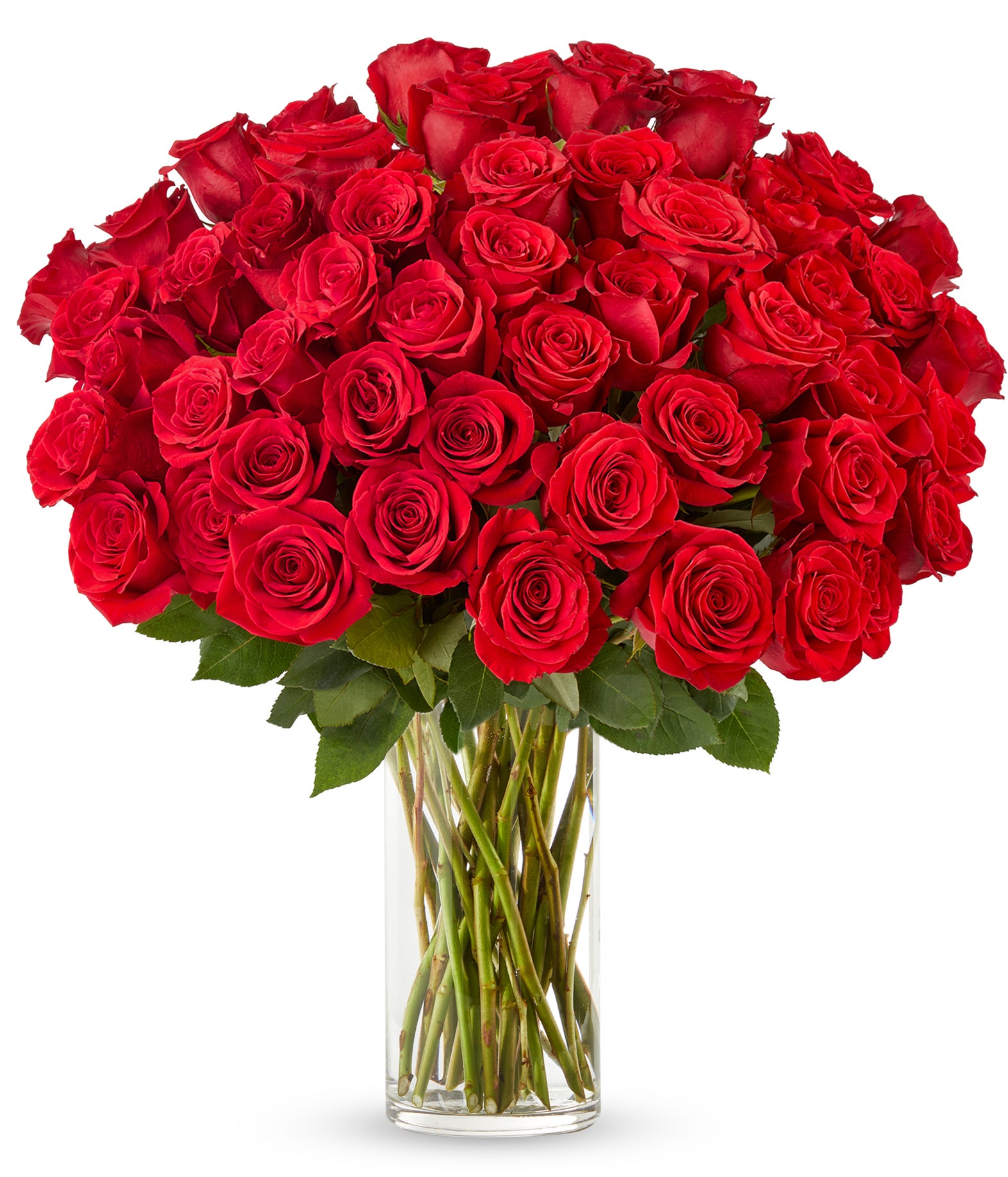 F-959_VTC.jpg 50 Stunning Long Stemmed Red Roses