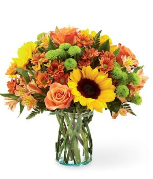 ftd b44.jpg
