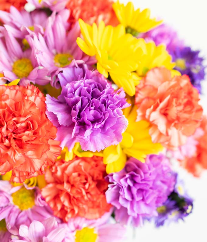 FYF-902_A3.jpg Flower Garden - Image 4