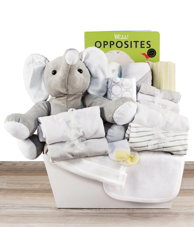 G-432.jpg Bringing Home Baby Deluxe Gift Basket - Elephant
