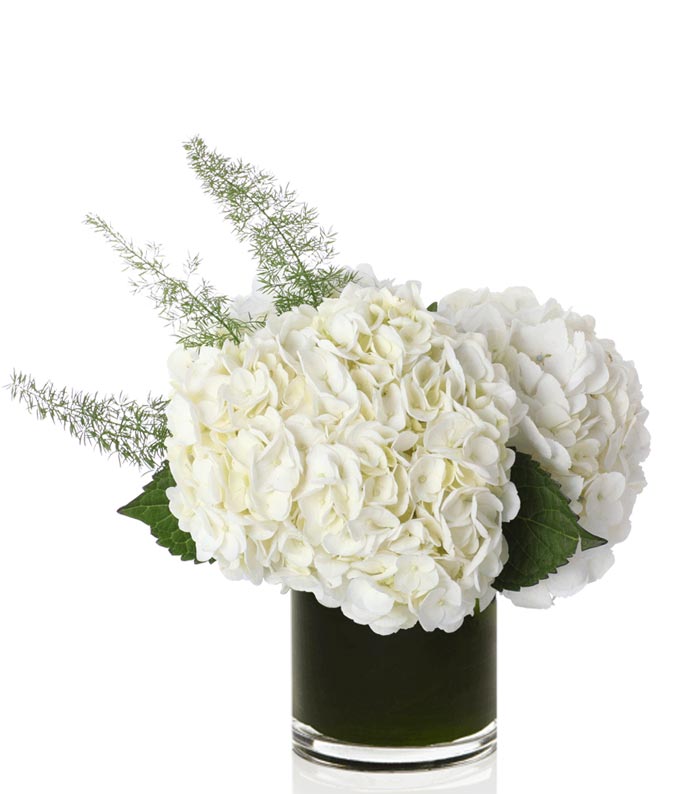 H-163-1.jpg Vanilla Hydrangea Bouquet