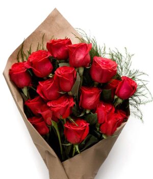 Pure Romance - 1 Dozen