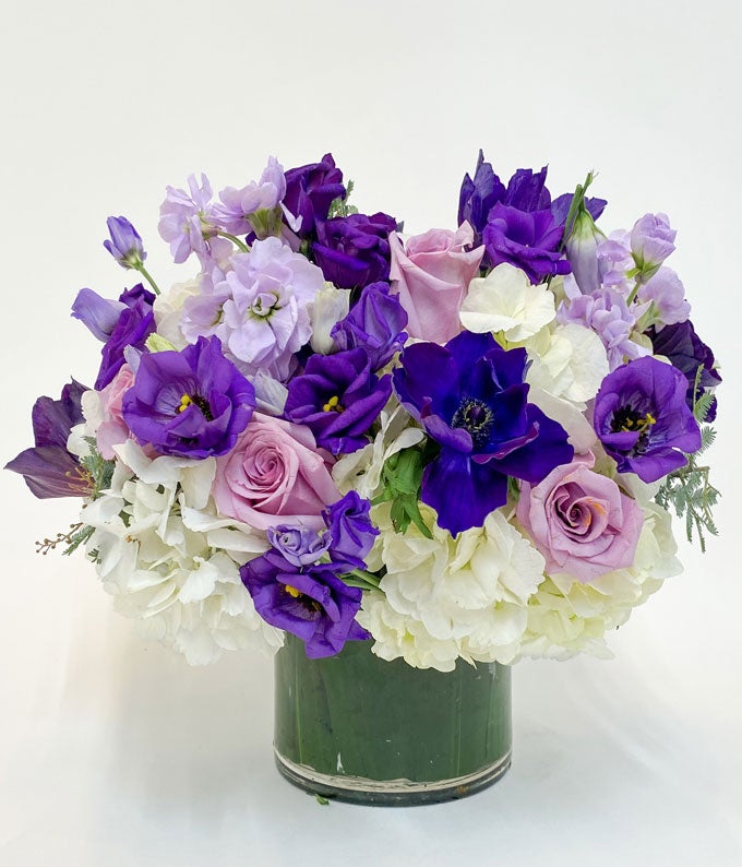 H-443-1.jpg Amazing Amethyst