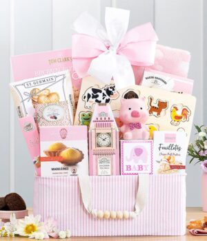 Precious Baby Girl Gift Basket