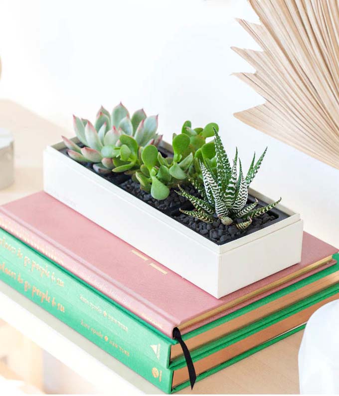 L-101_A3.jpg Lula's Garden ® Jewel Succulent Gift - Image 4