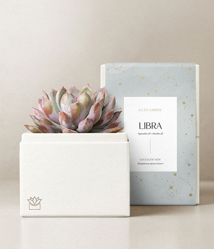 L-256-1.jpg Lula's Garden ® Air Collection Libra Succulent