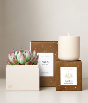 Lula's Garden ® Fire Collection Aries Succulent Set