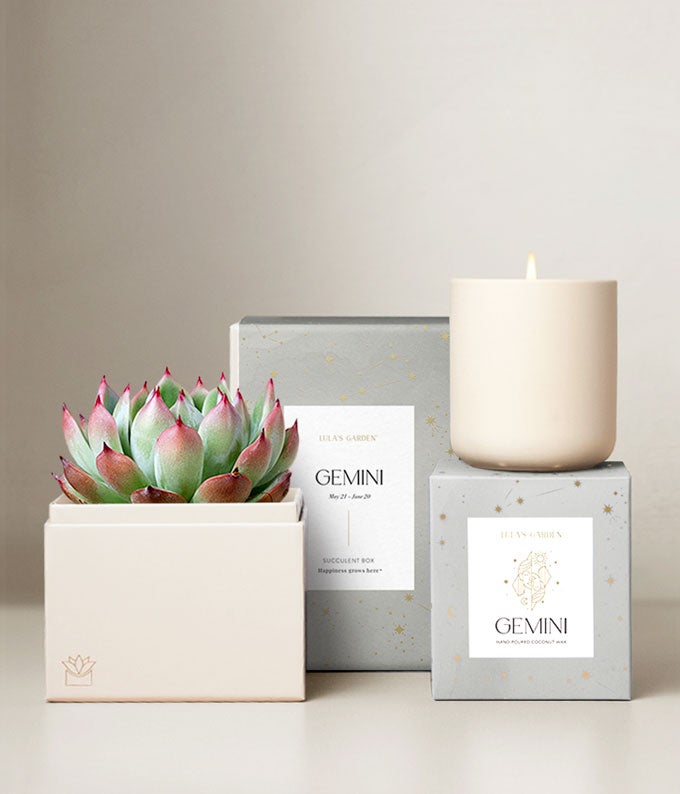 L-273-1.jpg Lula's Garden ® Air Collection Gemini Succulent Set