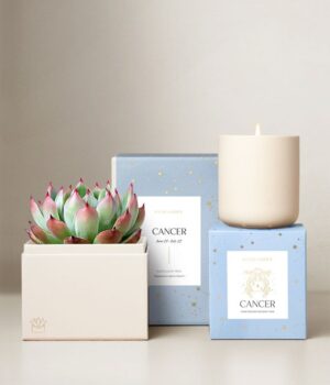 Lula's Garden ® Water Collection Cancer Succulent Set