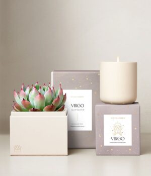 Lula's Garden ® Earth Collection Virgo Succulent Set