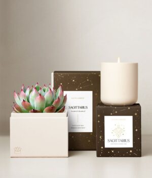 Lula's Garden ® Fire Collection Sagittarius Succulent Set