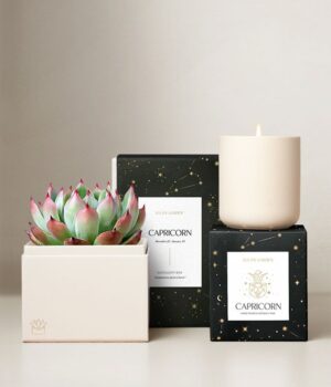 Lula's Garden ® Earth Collection Capricorn Succulent Set
