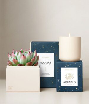 Lula's Garden ® Air Collection Aquarius Succulent