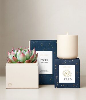 Lula's Garden ® Water Collection Pisces Succulent Set