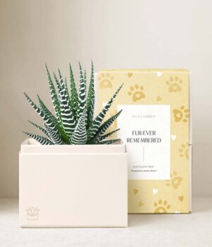 Lula's Garden ® Furever Remembered Zebra Garden