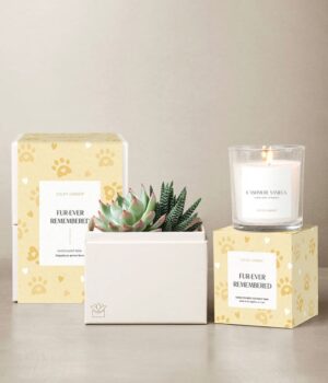 Lula's Garden ® Furever Remembered Glow Bundle
