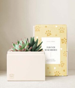 Lula's Garden ® Furever Remembered Glow Garden