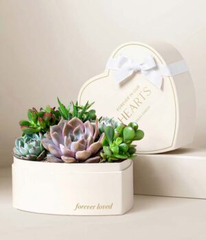 Lula's Garden ® Condolence Heart Garden