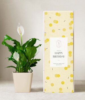 Lula's Garden ® Birthday Peace Lily Plant