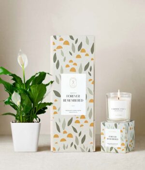 Lula's Garden ® Sympathy Peace Lily Gift Set