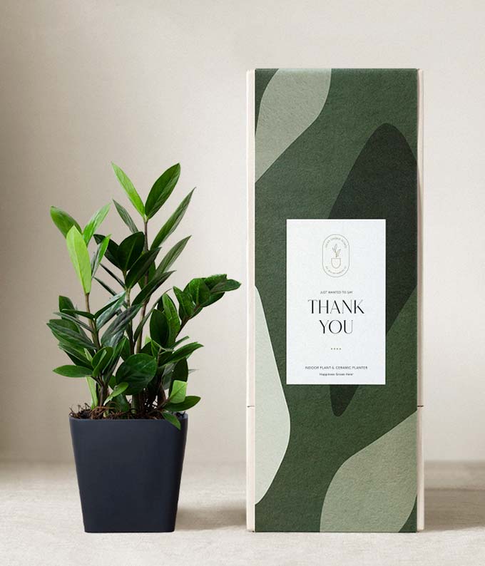 L-T15.jpg Lula's Garden ® Thank You ZZ Plant