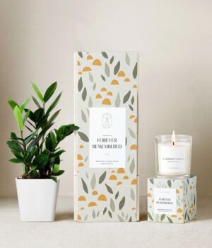 Lula's Garden ® Sympathy ZZ Plant Gift Set