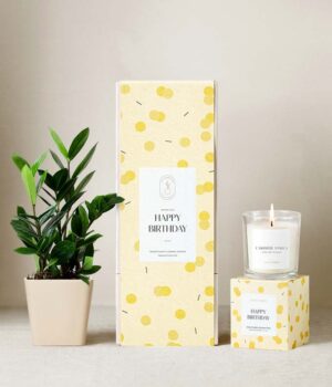 Lula's Garden ® Happy Birthday ZZ Plant Gift Set