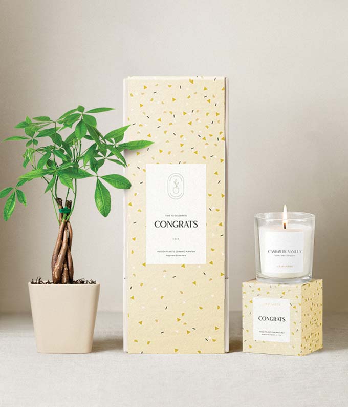 L-U66.jpg Lula's Garden ® Congrats Money Tree Gift Set
