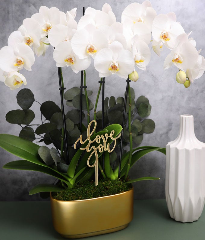 P-Y31_A1.jpg Elegant Orchid Garden of Love - Image 2