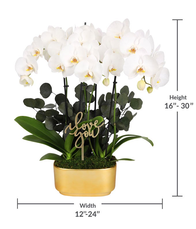 P-Y31_A3.jpg Elegant Orchid Garden of Love - Image 4