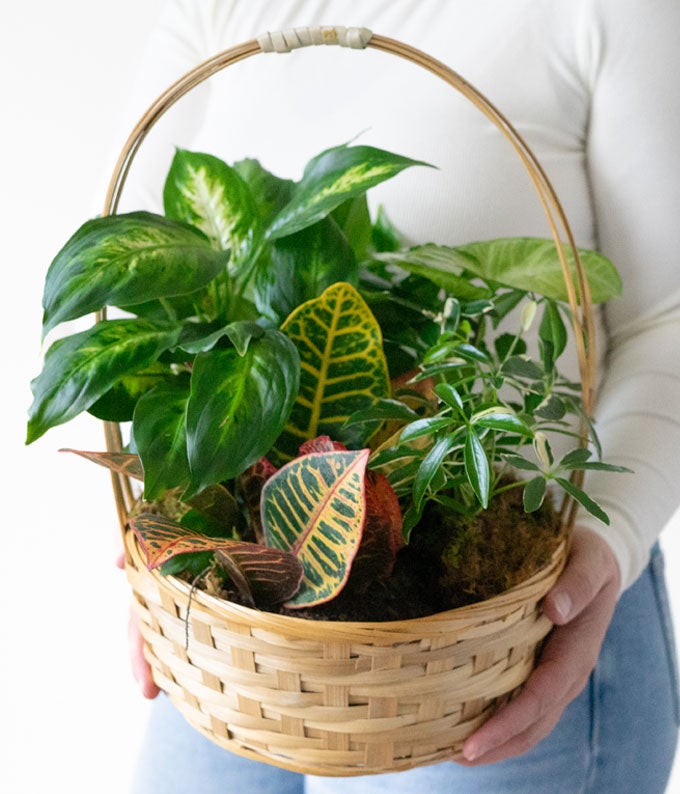T106-1A_A1.jpg Emerald Garden Basket - Image 2