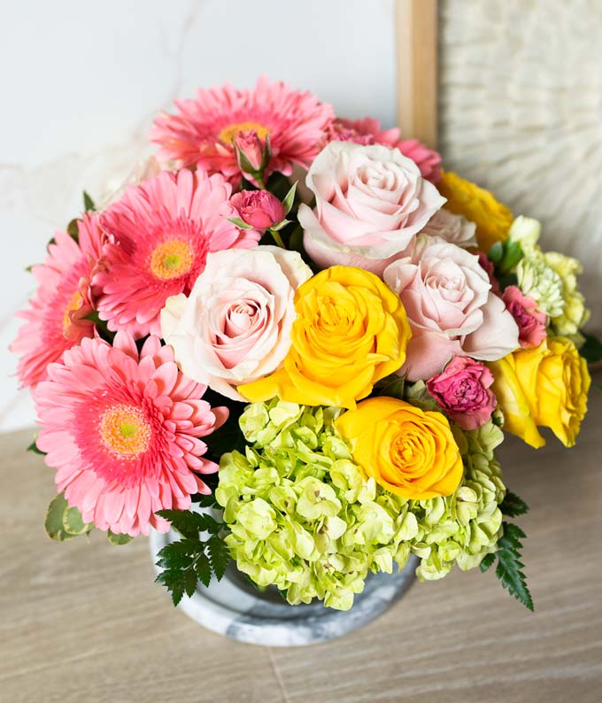 T155-1_A2.jpg Bright Beautiful Stems - Image 3