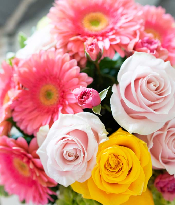 T155-1_A3.jpg Bright Beautiful Stems - Image 4