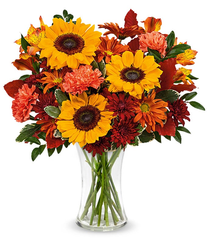 T22T205.jpg Sunflowers & Sunsets