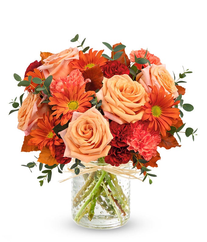 T23T310.jpg Orange Blossom
