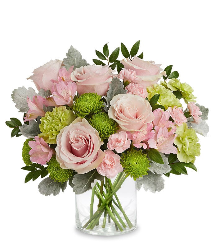 T24M305-1.jpg Delightful Garden Ensemble