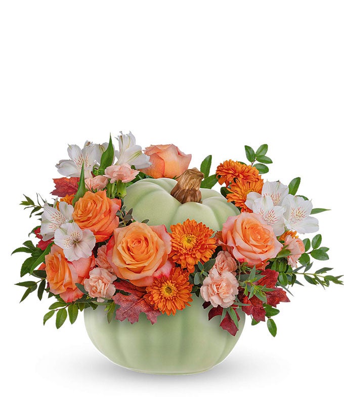 T24T110.jpg Autumn in Pastels