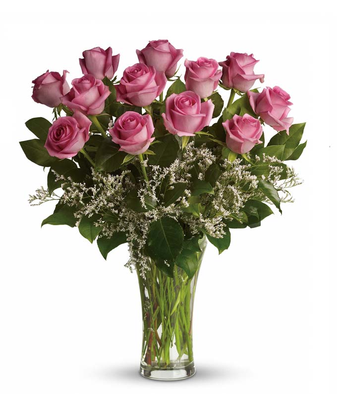 T4-1-12-1.jpg Glorious Pink Roses
