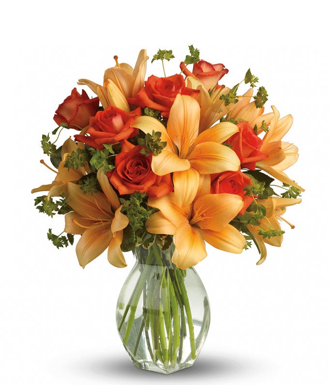T47-2.jpg Fiery Lily and Rose