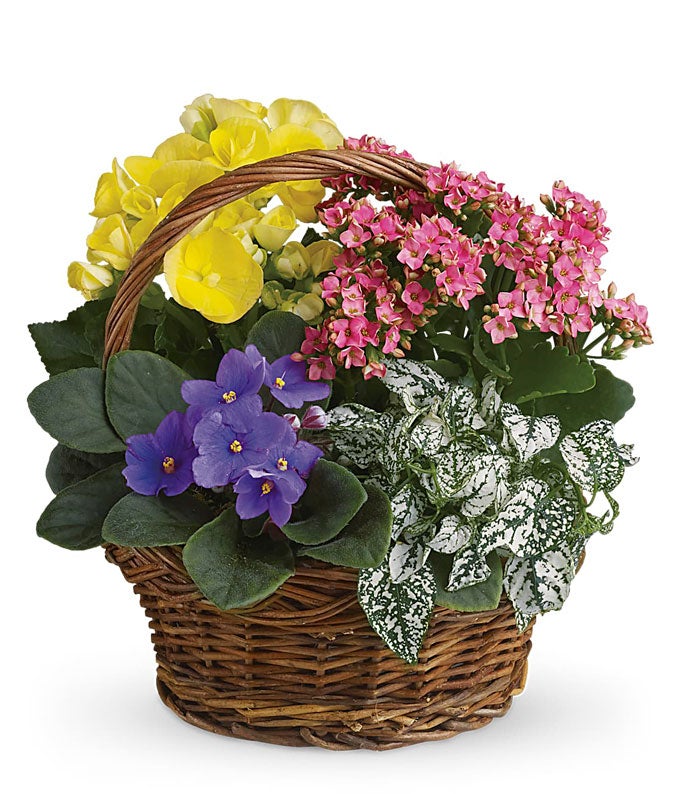 T93-1A.jpg Spring Floral Basket